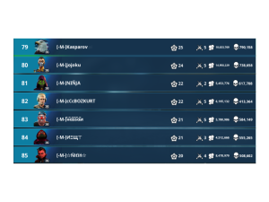 552 20241013062455 ss